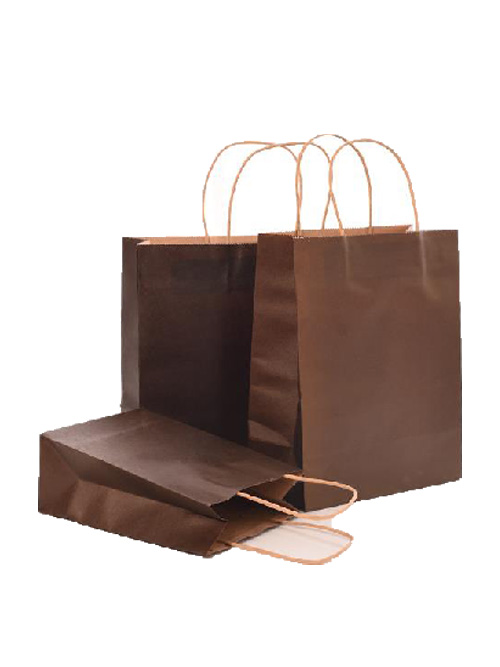 Customized Printed Kraft Shopping Paper Bag