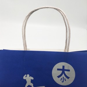 Customized Design Printed Paper Carry Bags