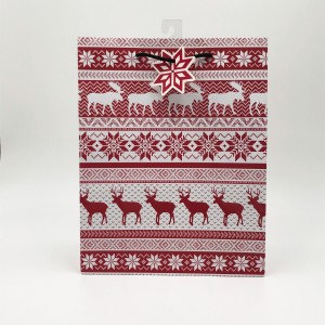 Customised printing Large Free Sample Paper Bag