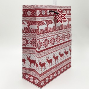 Customised printing Large Free Sample Paper Bag