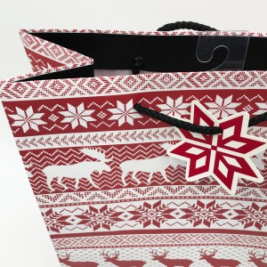 Customised printing Large Free Sample Paper Bag