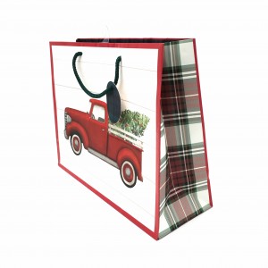 Good design Laminated Printed Luxury Shopping Gift Custom Paper Bag for present