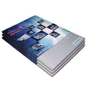 Custom Brochure Printing HLD-B002